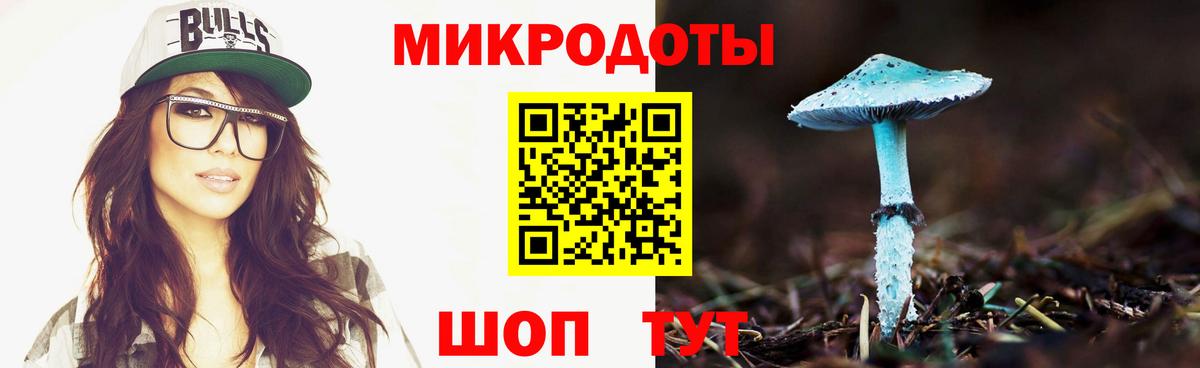 Нижнекамск  Галлюциногенные грибы Magic Shrooms  Вход с VPN  Галлюциногенные грибы Cubensis 